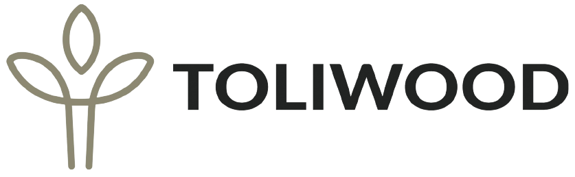 TOLIWOOD